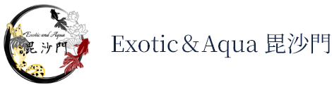 Exotic＆Aqua 毘沙門